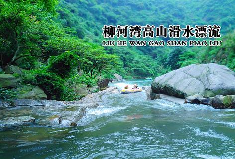 逗小猴开心系列176